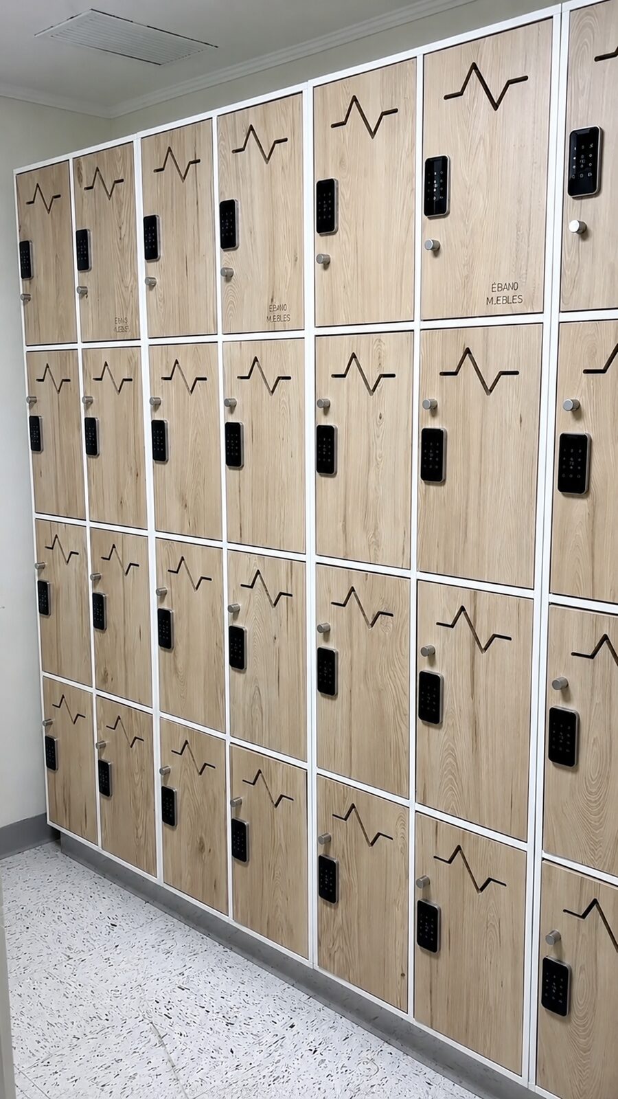 Lockers con cerradura inteligente Ébano Muebles